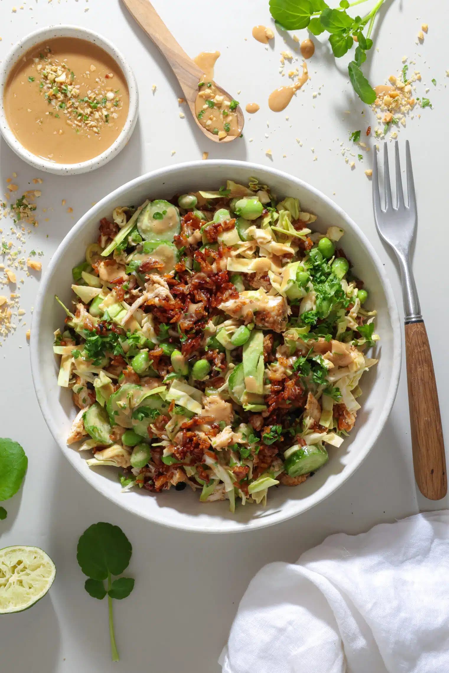 Crispy Rice Salad with Chicken and Creamy Peanut Dressing — high-protein recipe photo